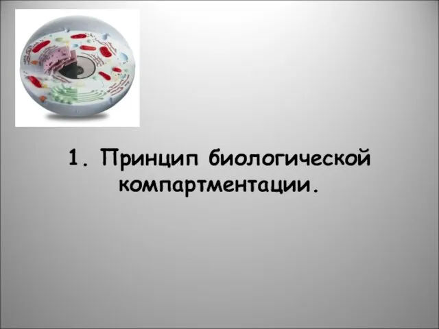 1. Принцип биологической компартментации.