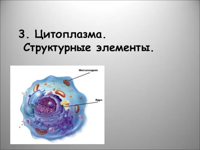 3. Цитоплазма. Структурные элементы.
