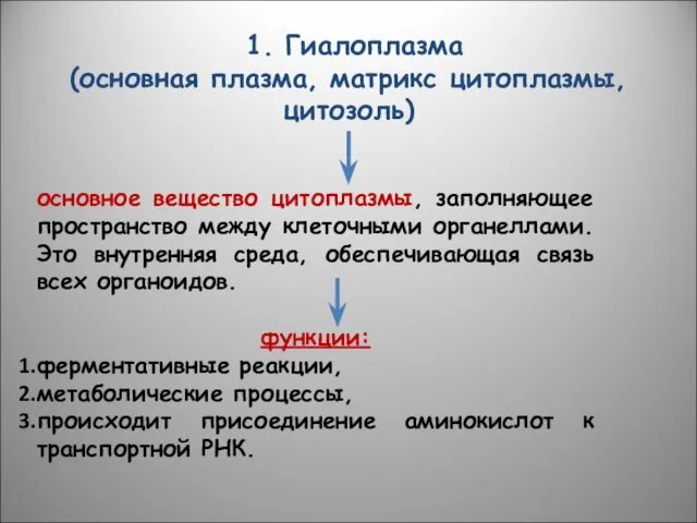 1. Гиалоплазма (основная плазма, матрикс цитоплазмы, цитозоль) основное вещество цитоплазмы, заполняющее