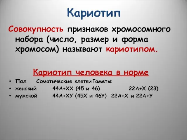 Кариотип Совокупность признаков хромосомного набора (число, размер и форма хромосом) называют