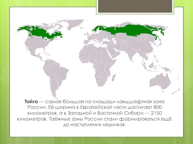 Тайга — самая большая по площади ландшафтная зона России. Её ширина