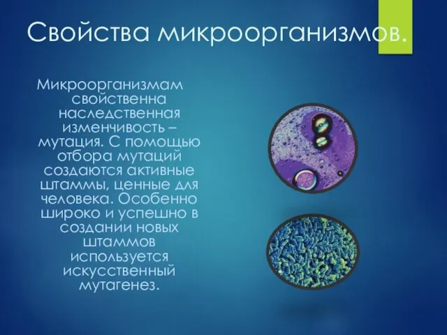 Свойства микроорганизмов. Микроорганизмам свойственна наследственная изменчивость – мутация. С помощью отбора