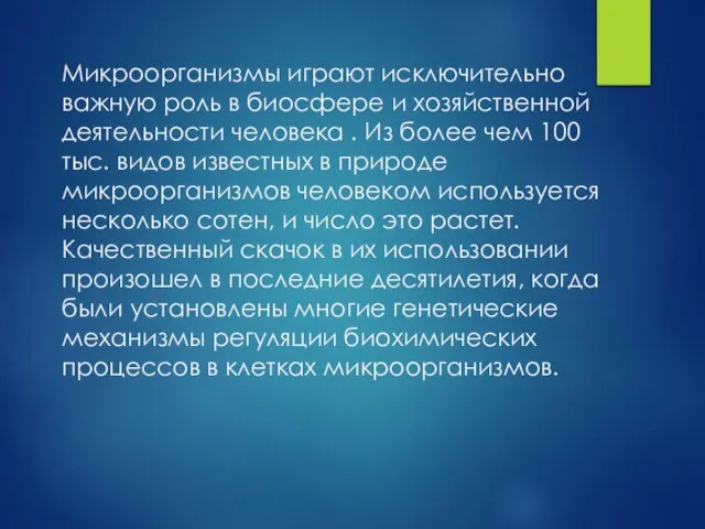 Микроорганизмы играют исключительно важную роль в биосфере и хозяйственной деятельности человека