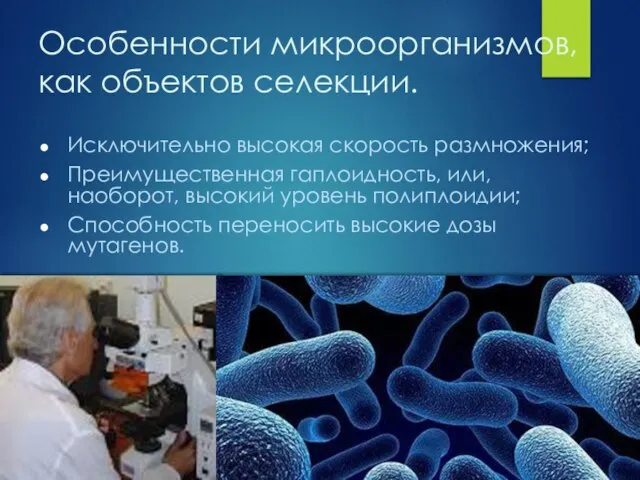 Особенности микроорганизмов, как объектов селекции. Исключительно высокая скорость размножения; Преимущественная гаплоидность,