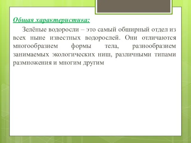 Общая характеристика: Зелёные водоросли – это самый обширный отдел из всех