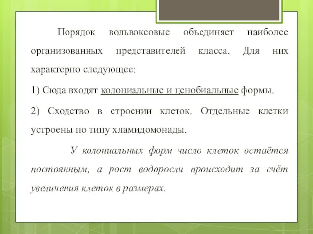 Порядок вольвоксовые объединяет наиболее организованных представителей класса. Для них характерно следующее: