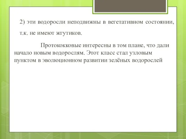 2) эти водоросли неподвижны в вегетативном состоянии, т.к. не имеют жгутиков.