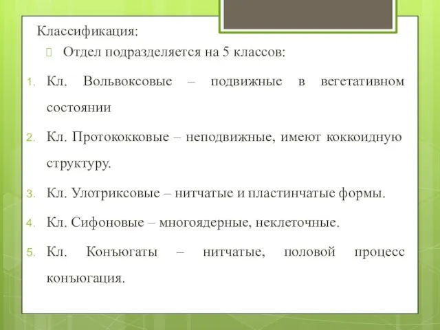 Классификация: Отдел подразделяется на 5 классов: Кл. Вольвоксовые – подвижные в