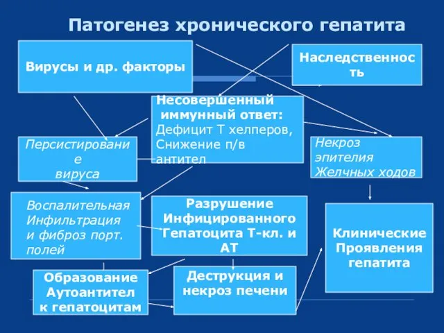 Патогенез хронического гепатита Вирусы и др. факторы Наследственность Несовершенный иммунный ответ: