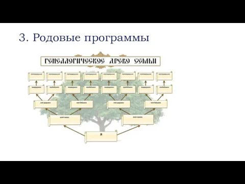 3. Родовые программы