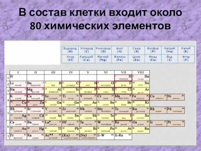 В состав клетки входит около 80 химических элементов