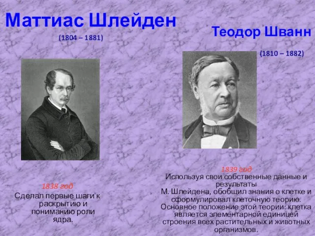 Маттиас Шлейден 1838 год Сделал первые шаги к раскрытию и пониманию