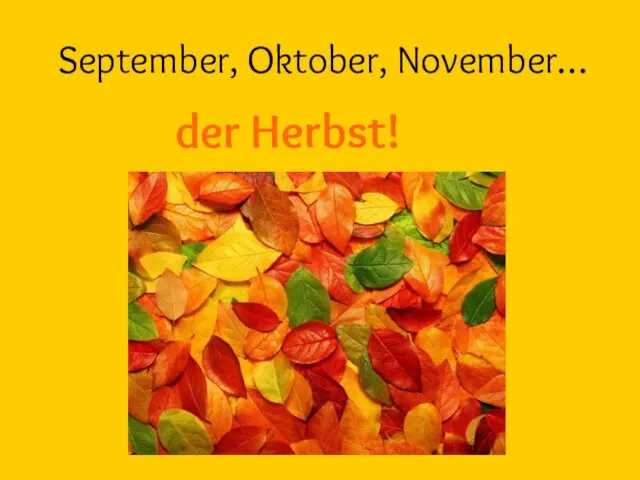 September, Oktober, November… der Herbst!