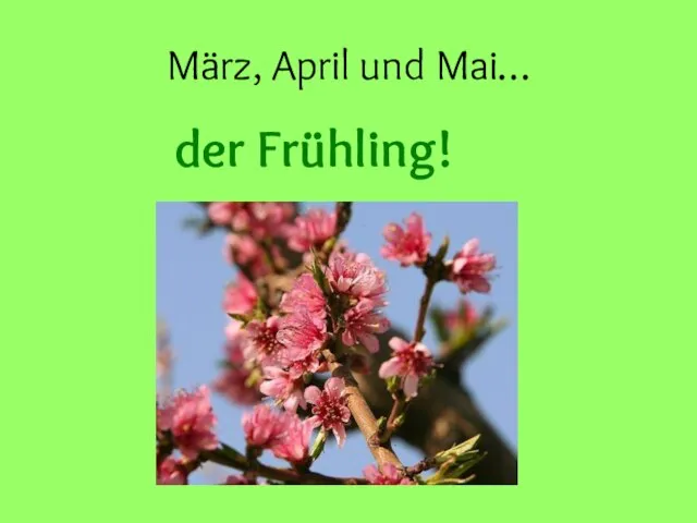 März, April und Mai… der Frühling!