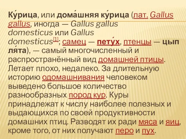 Ку́рица, или дома́шняя ку́рица (лат. Gallus gallus, иногда — Gallus gallus