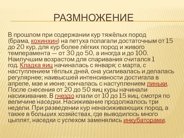 РАЗМНОЖЕНИЕ В прошлом при содержании кур тяжёлых пород (брама, кохинхин) на