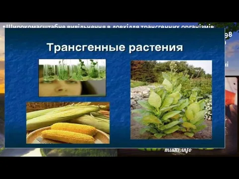 Широкомасштабне вивільнення в довкілля трансгенних організмів розпочалося 1996 р. Серед трансгенних