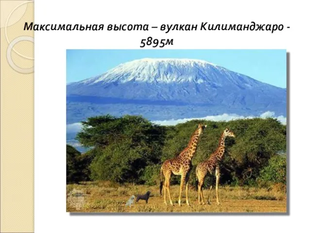 Максимальная высота – вулкан Килиманджаро - 5895м