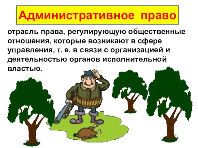 отрасль права, регулирующую общественные отношения, которые возникают в сфере управления, т.