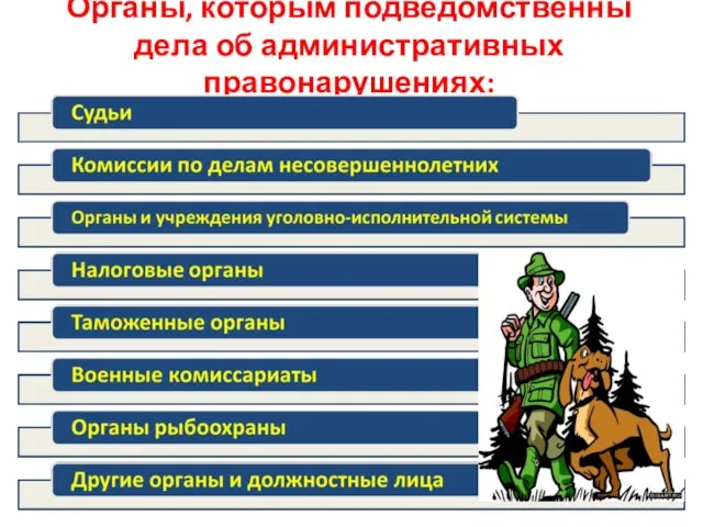 Органы, которым подведомственны дела об административных правонарушениях: