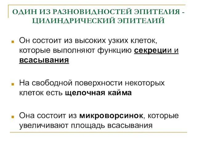 ОДИН ИЗ РАЗНОВИДНОСТЕЙ ЭПИТЕЛИЯ - ЦИЛИНДРИЧЕСКИЙ ЭПИТЕЛИЙ Он состоит из высоких