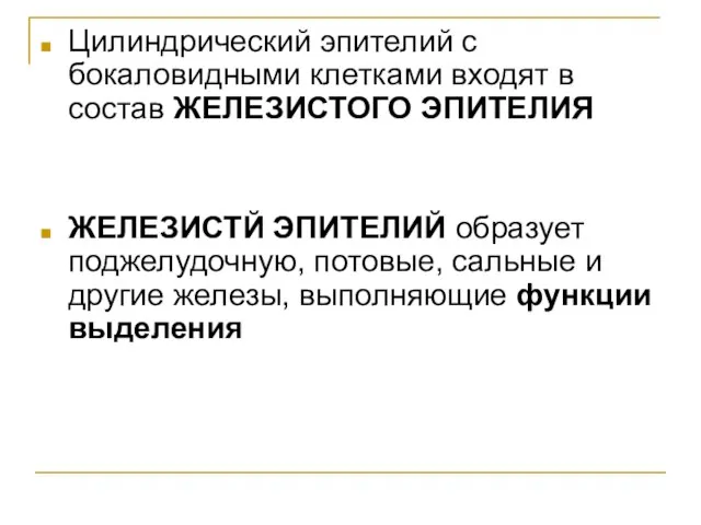 Цилиндрический эпителий с бокаловидными клетками входят в состав ЖЕЛЕЗИСТОГО ЭПИТЕЛИЯ ЖЕЛЕЗИСТЙ