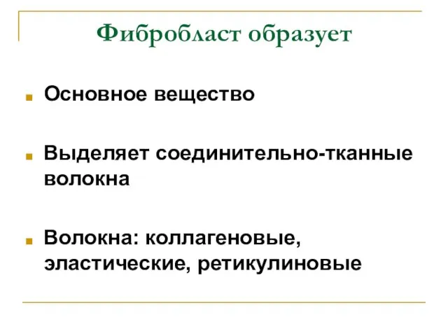 Фибробласт образует Основное вещество Выделяет соединительно-тканные волокна Волокна: коллагеновые, эластические, ретикулиновые