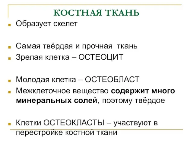 КОСТНАЯ ТКАНЬ Образует скелет Самая твёрдая и прочная ткань Зрелая клетка