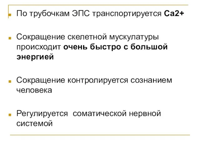 По трубочкам ЭПС транспортируется Са2+ Сокращение скелетной мускулатуры происходит очень быстро