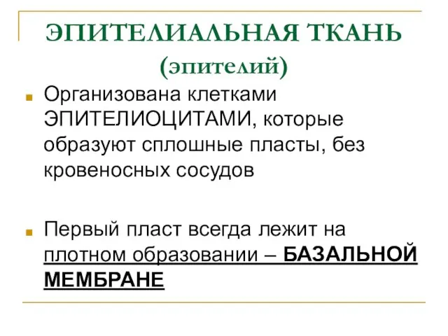 ЭПИТЕЛИАЛЬНАЯ ТКАНЬ (эпителий) Организована клетками ЭПИТЕЛИОЦИТАМИ, которые образуют сплошные пласты, без