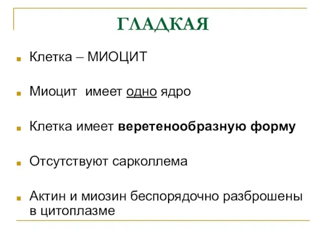 ГЛАДКАЯ Клетка – МИОЦИТ Миоцит имеет одно ядро Клетка имеет веретенообразную