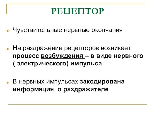 РЕЦЕПТОР Чувствительные нервные окончания На раздражение рецепторов возникает процесс возбуждения –