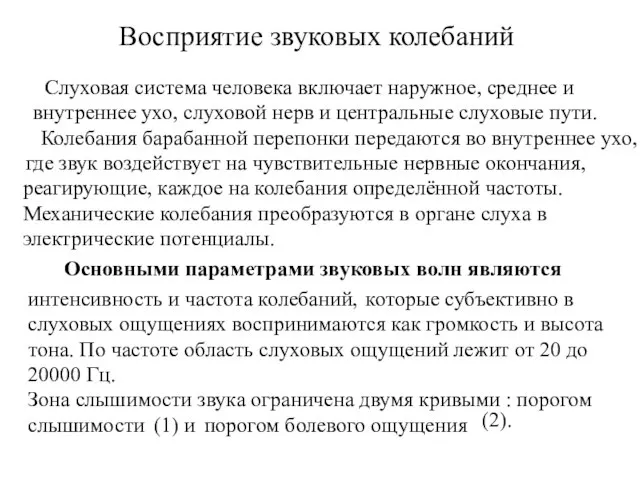 Слуховая система человека включает наружное, среднее и внутреннее ухо, слуховой нерв