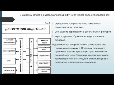 В широком смысле эндотелиальная дисфункция может быть определена как: образование конформационно