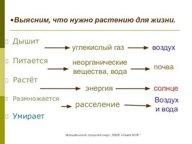 Дышит Питается Растёт Размножается Умирает углекислый газ воздух неорганические вещества, вода