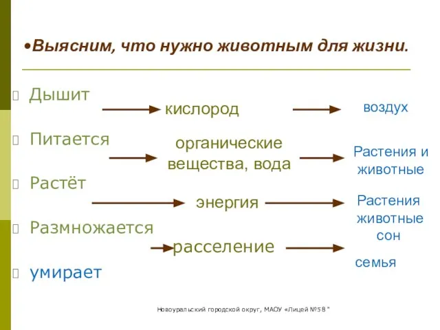 Дышит Питается Растёт Размножается умирает кислород воздух органические вещества, вода Растения