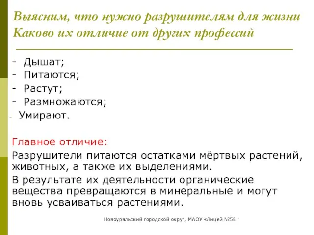 Выясним, что нужно разрушителям для жизни Каково их отличие от других