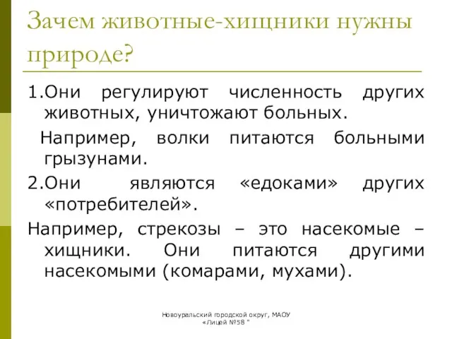 Зачем животные-хищники нужны природе? 1.Они регулируют численность других животных, уничтожают больных.