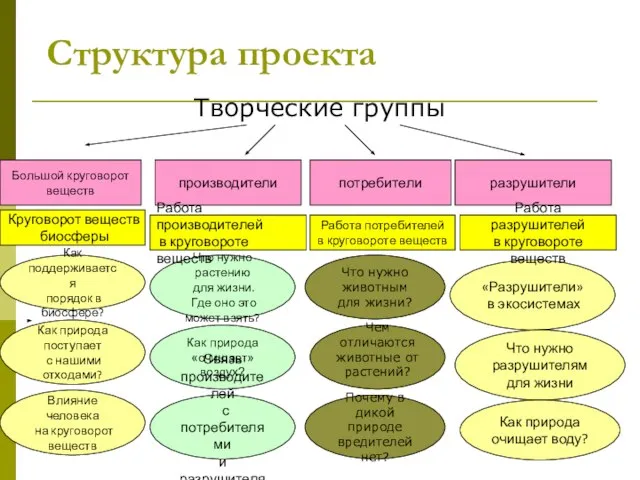 Структура проекта Творческие группы Большой круговорот веществ производители разрушители Как поддерживается