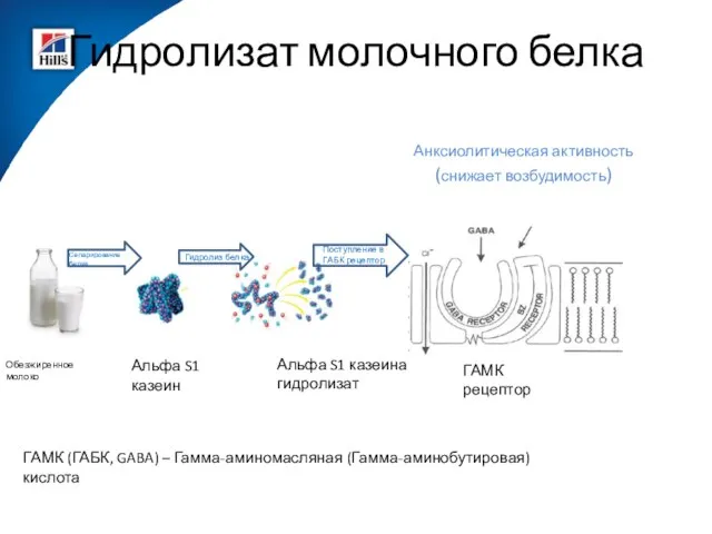 Гидролизат молочного белка Обезжиренное молоко Альфа S1 казеин Альфа S1 казеина