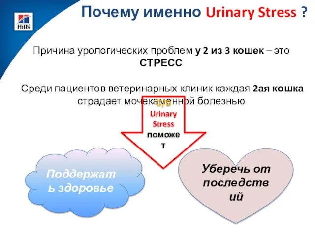 Почему именно Urinary Stress ? Поддержать здоровье Уберечь от последствий Причина