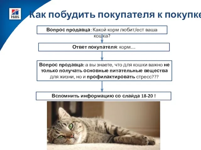 Как побудить покупателя к покупке? Вопрос продавца: Какой корм любит/ест ваша