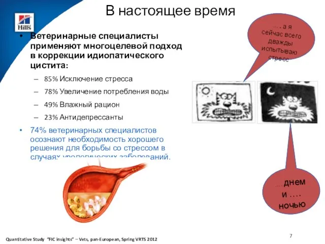 В настоящее время Ветеринарные специалисты применяют многоцелевой подход в коррекции идиопатического