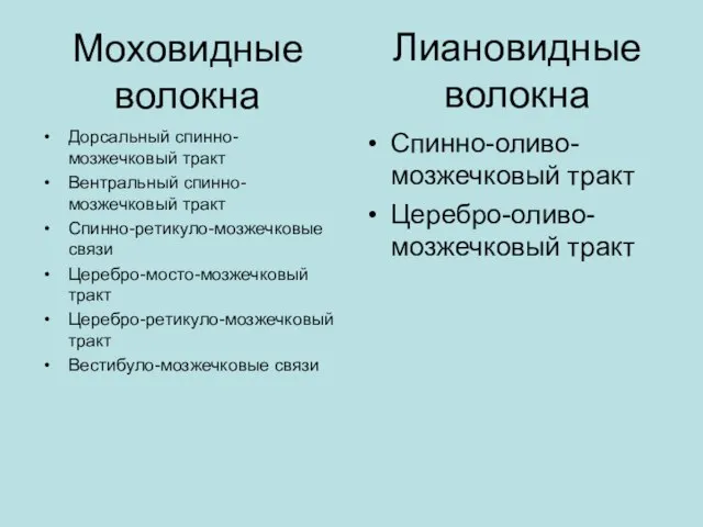 Моховидные волокна Дорсальный спинно-мозжечковый тракт Вентральный спинно-мозжечковый тракт Спинно-ретикуло-мозжечковые связи Церебро-мосто-мозжечковый