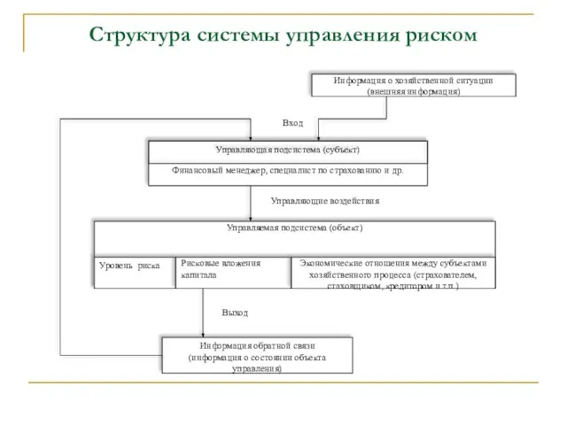 Структура системы управления риском