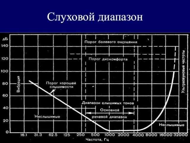 Слуховой диапазон