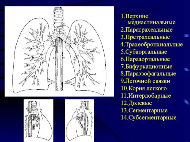 1.Верхние медиастинальные 2.Паратрахеальные 3.Претрахеальные 4.Трахеобронхиальные 5.Субаортальные 6.Парааортальные 7.Бифуркационные 8.Параэзофагальные 9.Легочной связки