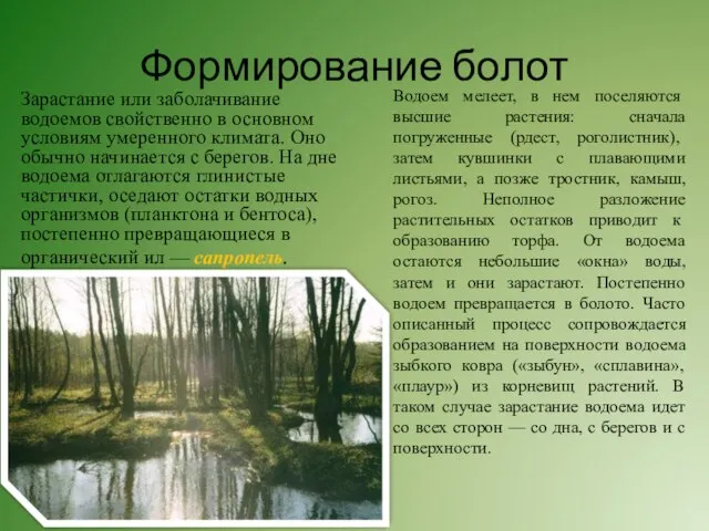 Формирование болот Зарастание или заболачивание водоемов свойственно в основном условиям умеренного