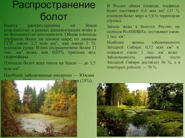 Распространение болот Болота распространены на Земле повсеместно: в разных клима­тических зонах
