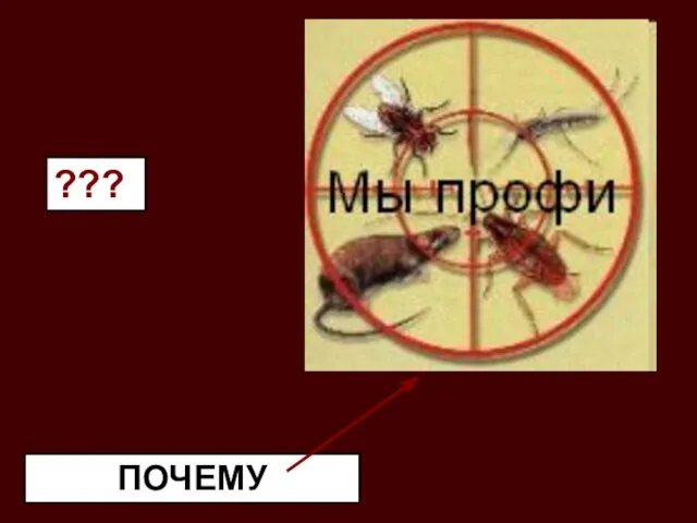 ??? ПОЧЕМУ